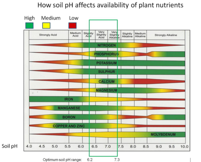 Pengaruh pH Tanah Terhadap Kandungan Unsur Hara Dalam Tanah