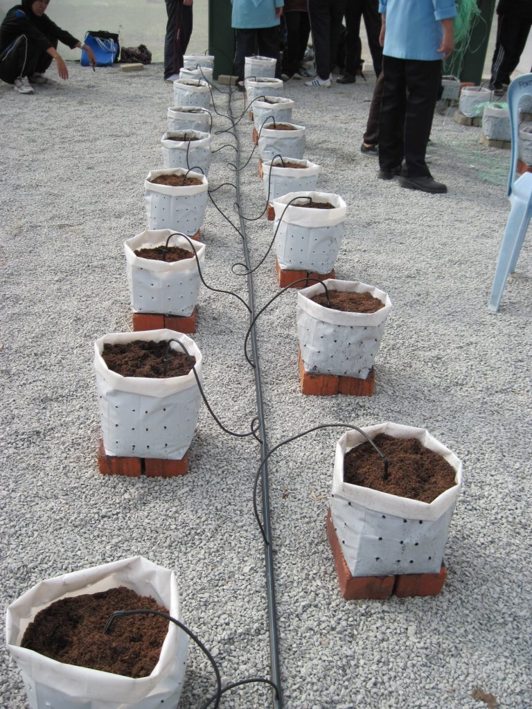 Fertigasi Pot