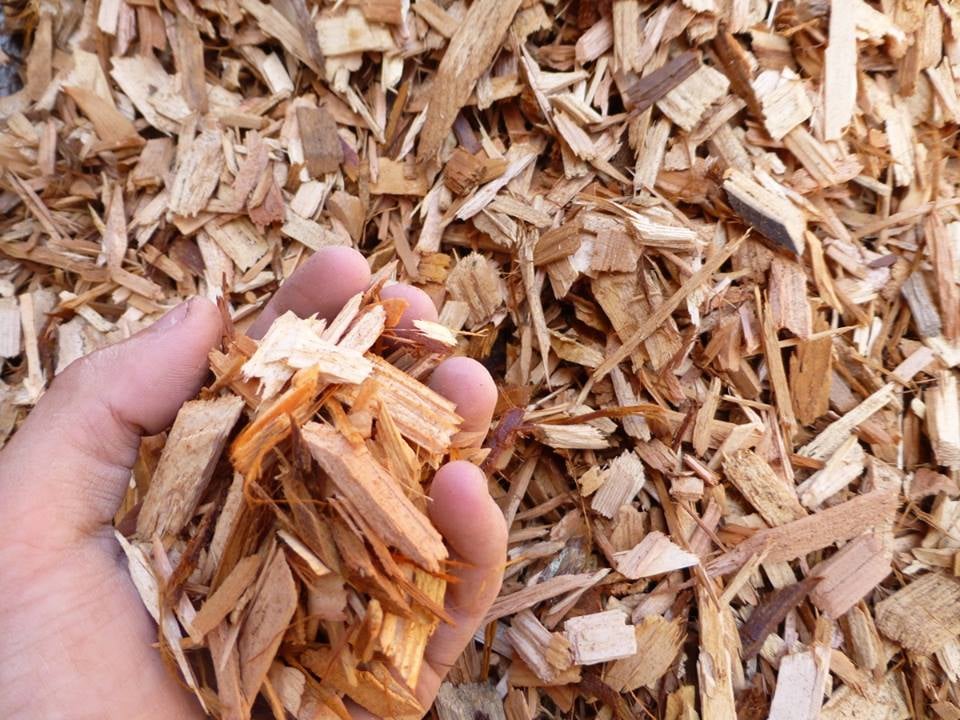 Mulsa Potongan Kayu
