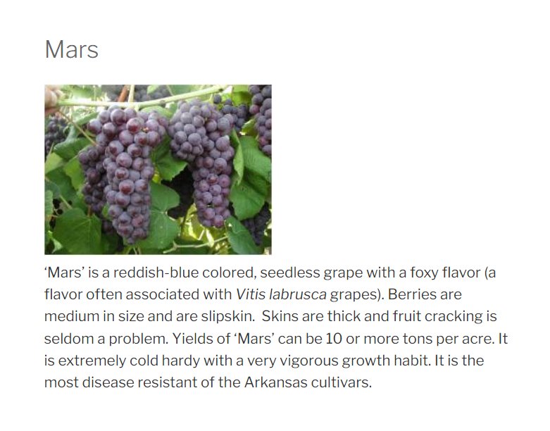 Karakteristik Anggur Mars