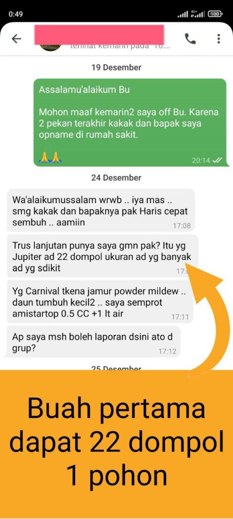 Testimonial Mentoring Anggur