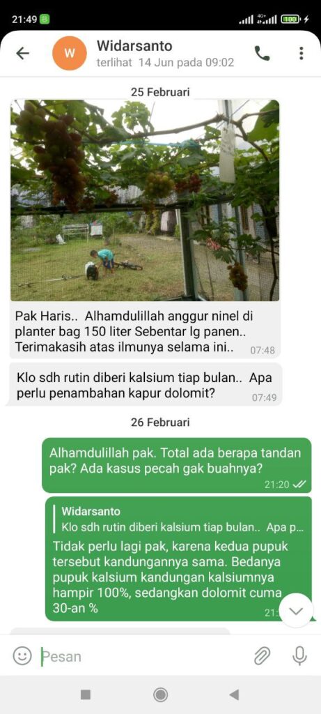 Testimonial Mentoring Anggur - Widarsanto