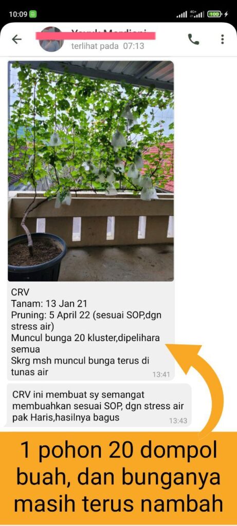 Testimonial Mentoring Anggur - Yayuk Mardiani
