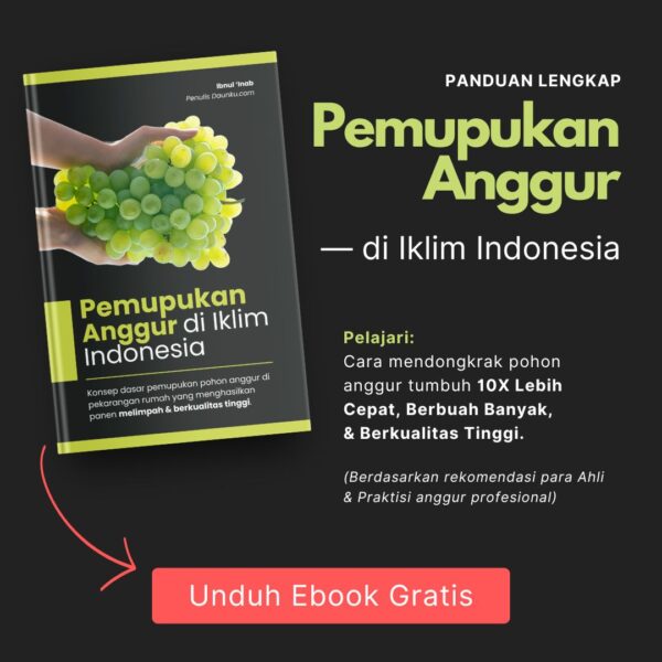 Banner Ebook Pemupukan Anggur di Iklim Indonesia