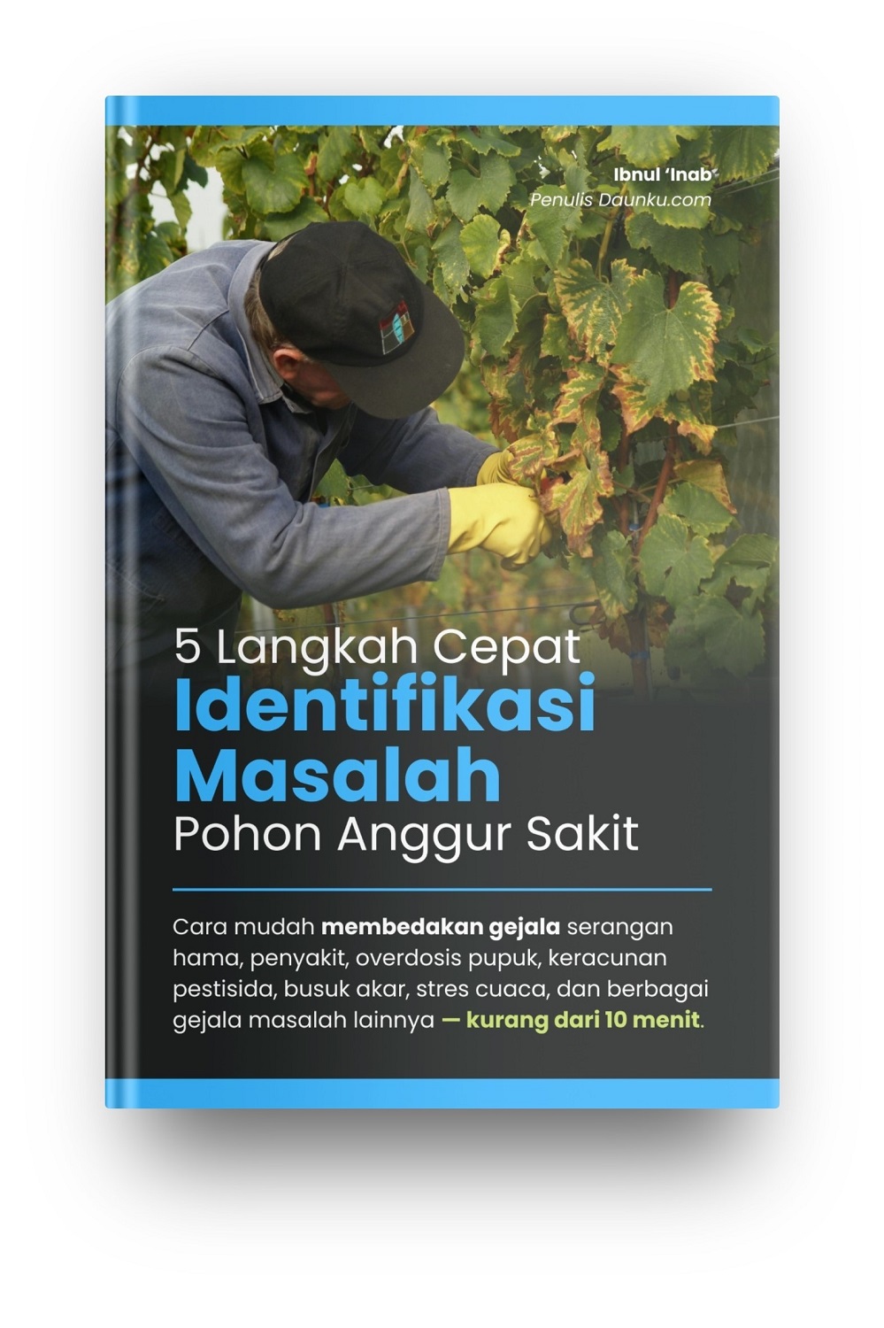 Ebook 5 Langkah Cepat Identifikasi Masalah Pohon Anggur Sakit
