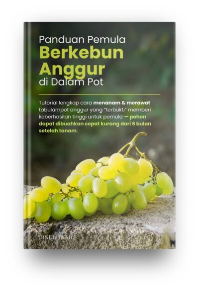 Ebook Panduan Pemula Berkebun Anggur di Dalam Pot Ebook Panduan Pemula Berkebun Anggur di Dalam Pot