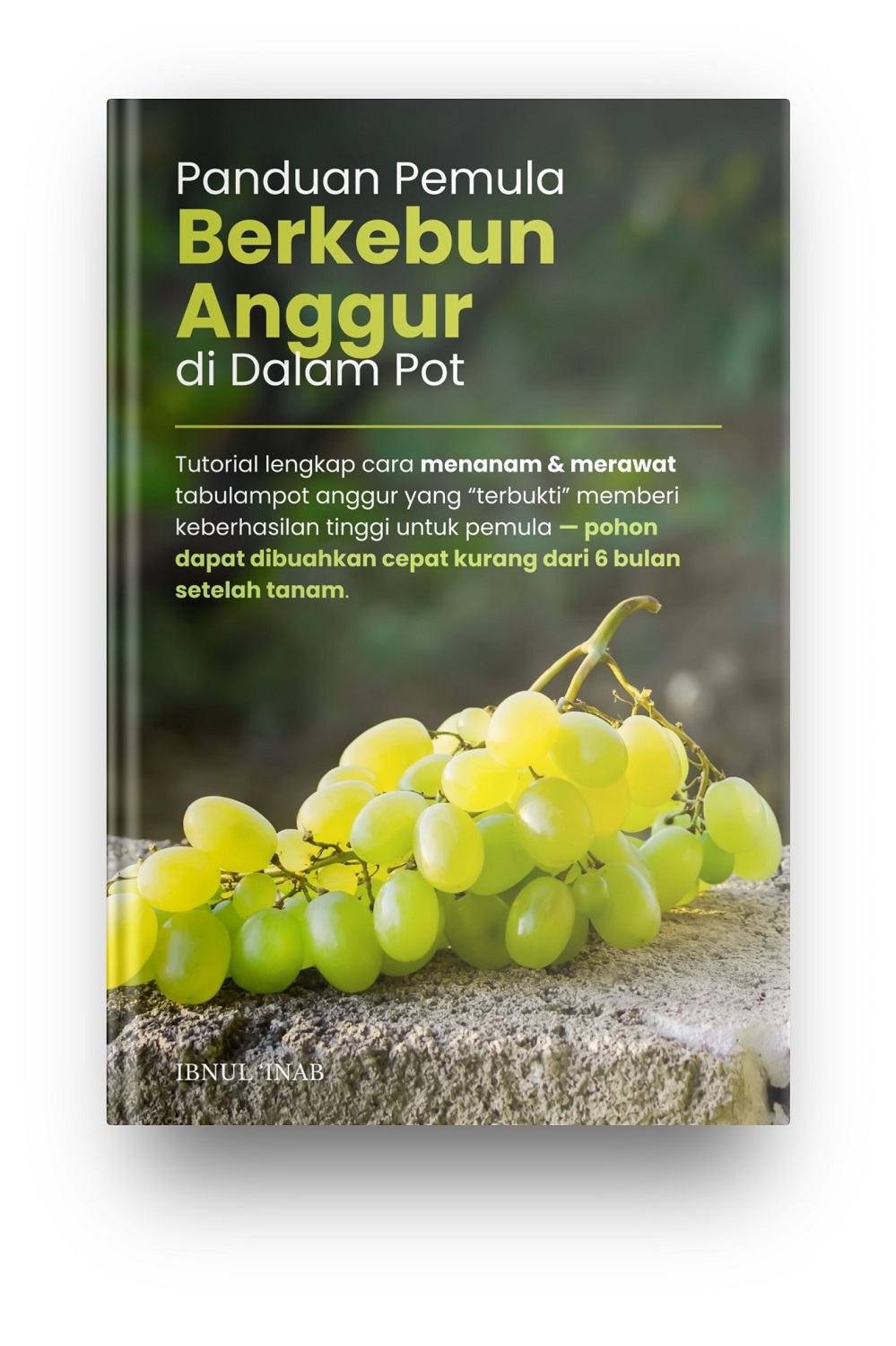 Ebook Panduan Pemula Berkebun Anggur di Dalam Pot Ebook Panduan Pemula Berkebun Anggur di Dalam Pot