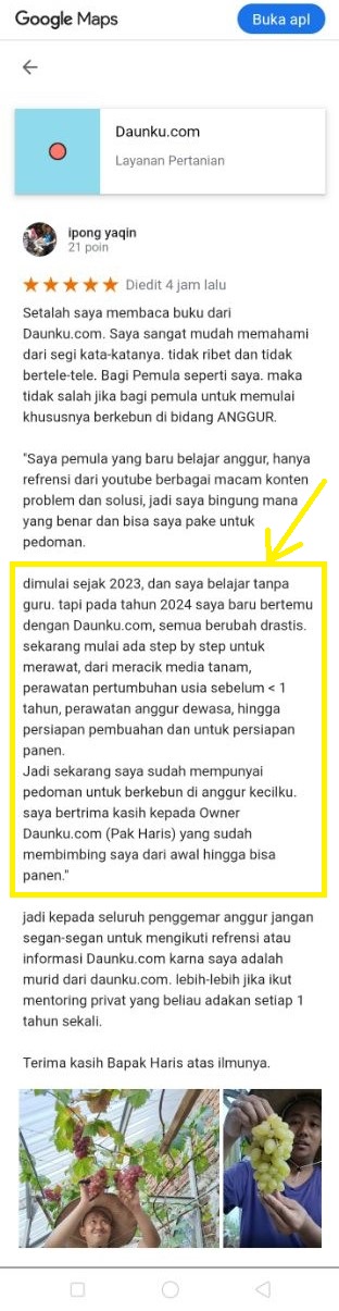 Testimonial Program Mentoring Anggur dari Ainul Yaqin Testimonial Program Mentoring Anggur dari Ainul Yaqin