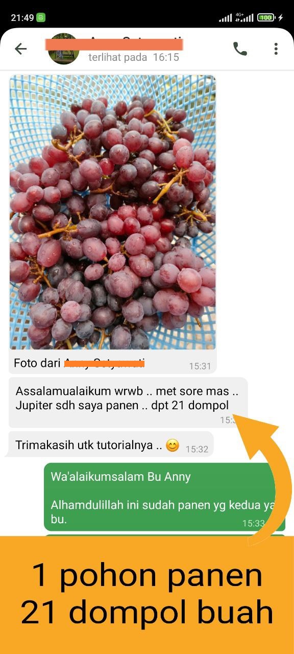 Testimonial Mentoring Anggur - Anny Setyawati Testimonial Mentoring Anggur Anny Setyawati