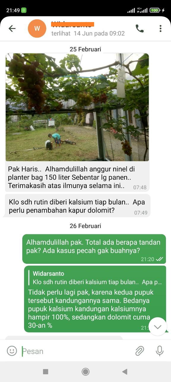 Testimonial Mentoring Anggur - Widarsanto Testimonial Mentoring Anggur Widarsanto