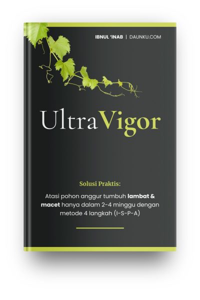 Ebook UltraVigor Ebook UltraVigor